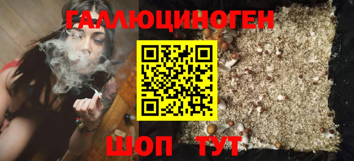 Галлюциногенные грибы прущие грибы Протвино