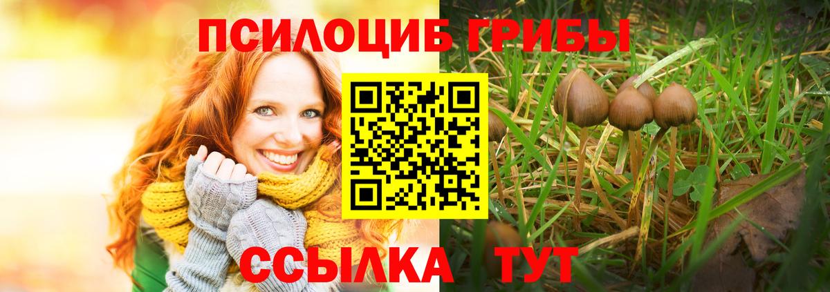 Протвино  магазин  наркотиков  Вход с VPN  Галлюциногенные грибы Magic Shrooms 